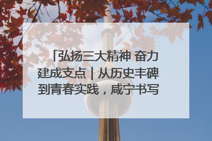 弘扬三大精神 奋力建成支点｜从历史丰碑到青春实践，咸宁书写精神传承新篇章