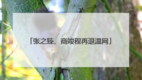 张之臻、商竣程再退温网