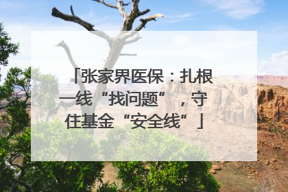 张家界医保：扎根一线“找问题”，守住基金“安全线”