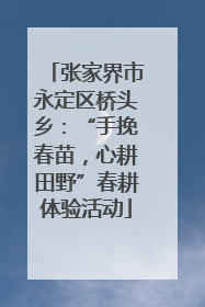 张家界市永定区桥头乡：“手挽春苗，心耕田野”春耕体验活动