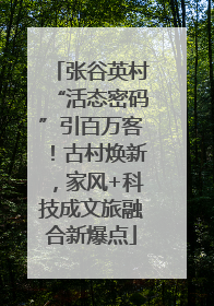 张谷英村“活态密码”引百万客！古村焕新，家风+科技成文旅融合新爆点