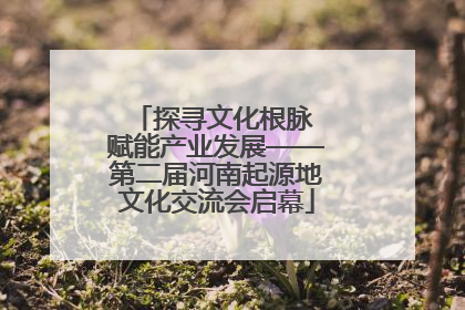 探寻文化根脉 赋能产业发展——第二届河南起源地文化交流会启幕