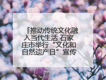 推动传统文化融入当代生活 石家庄市举行“文化和自然遗产日”宣传展示活动