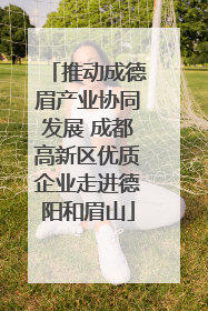 推动成德眉产业协同发展 成都高新区优质企业走进德阳和眉山
