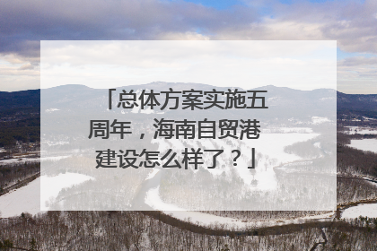 总体方案实施五周年，海南自贸港建设怎么样了？