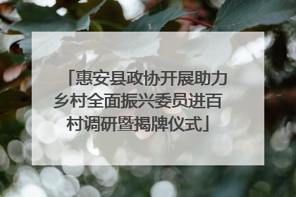 惠安县政协开展助力乡村全面振兴委员进百村调研暨揭牌仪式