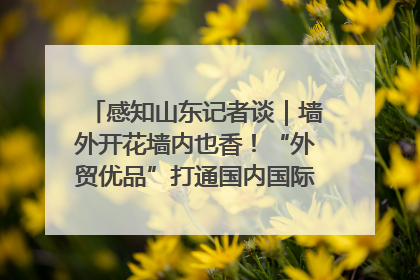 感知山东记者谈｜墙外开花墙内也香！“外贸优品”打通国内国际市场“旋转门”