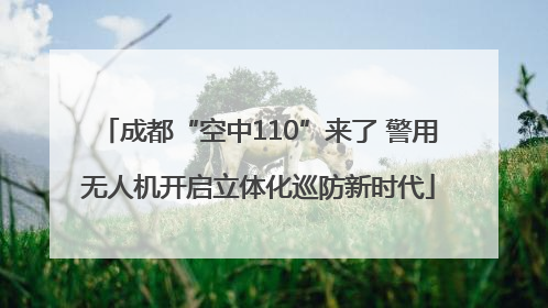 成都“空中110”来了 警用无人机开启立体化巡防新时代