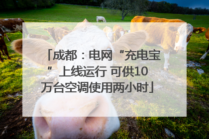 成都：电网“充电宝”上线运行 可供10万台空调使用两小时
