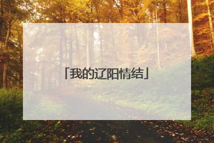 我的辽阳情结