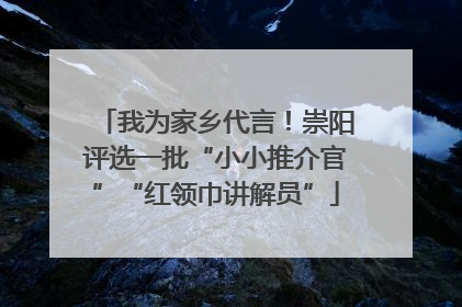 我为家乡代言！崇阳评选一批“小小推介官”“红领巾讲解员”