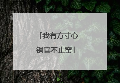 我有方寸心 铜官不止窑