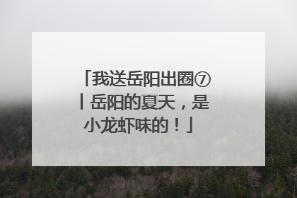 我送岳阳出圈⑦丨岳阳的夏天，是小龙虾味的！