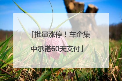 批量涨停！车企集中承诺60天支付