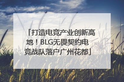 打造电竞产业创新高地！BLG无畏契约电竞战队落户广州花都