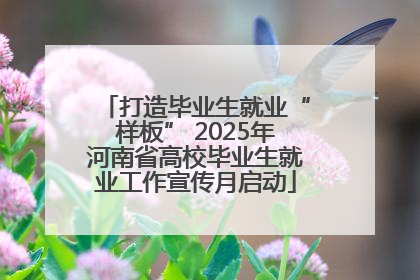 打造毕业生就业“样板” 2025年河南省高校毕业生就业工作宣传月启动