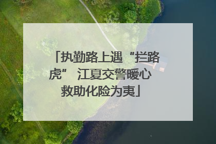 执勤路上遇“拦路虎” 江夏交警暖心救助化险为夷