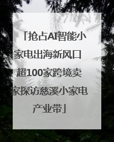 抢占AI智能小家电出海新风口 超100家跨境卖家探访慈溪小家电产业带