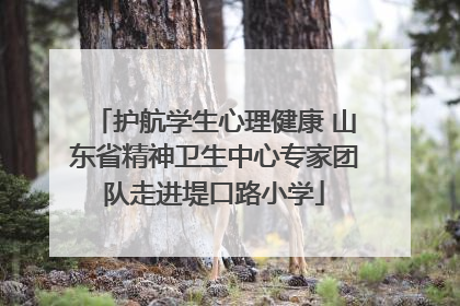 护航学生心理健康 山东省精神卫生中心专家团队走进堤口路小学