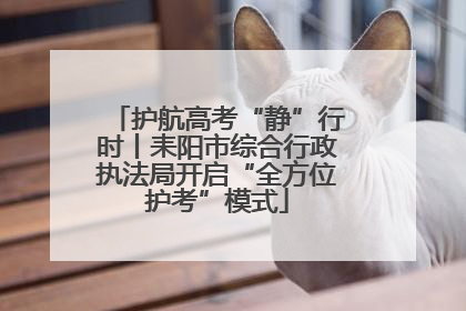 护航高考“静”行时丨耒阳市综合行政执法局开启“全方位护考”模式