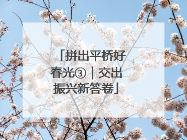 拼出平桥好春光③｜交出振兴新答卷