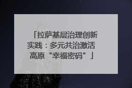 拉萨基层治理创新实践：多元共治激活高原“幸福密码”