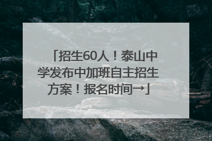 招生60人！泰山中学发布中加班自主招生方案！报名时间→