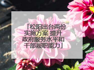 松阳出台两份实施方案 提升政府服务水平和干部履职能力