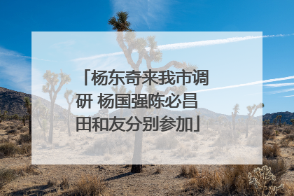 杨东奇来我市调研 杨国强陈必昌田和友分别参加