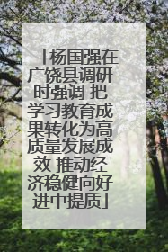 杨国强在广饶县调研时强调 把学习教育成果转化为高质量发展成效 推动经济稳健向好进中提质