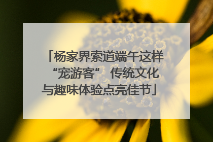 杨家界索道端午这样“宠游客” 传统文化与趣味体验点亮佳节