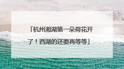杭州湘湖第一朵荷花开了！西湖的还要再等等