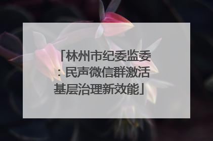 林州市纪委监委：民声微信群激活基层治理新效能