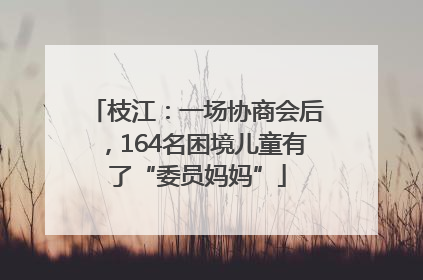 枝江：一场协商会后，164名困境儿童有了“委员妈妈”