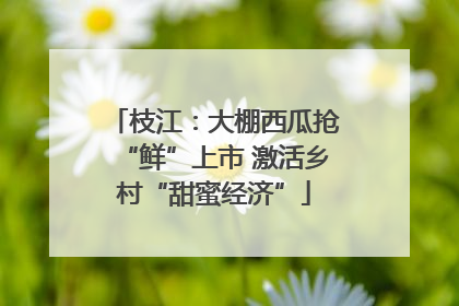 枝江：大棚西瓜抢“鲜”上市 激活乡村“甜蜜经济”