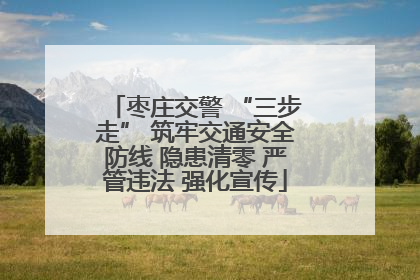 枣庄交警 “三步走” 筑牢交通安全防线 隐患清零 严管违法 强化宣传