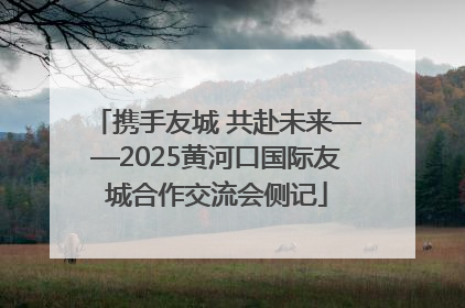 携手友城 共赴未来——2025黄河口国际友城合作交流会侧记