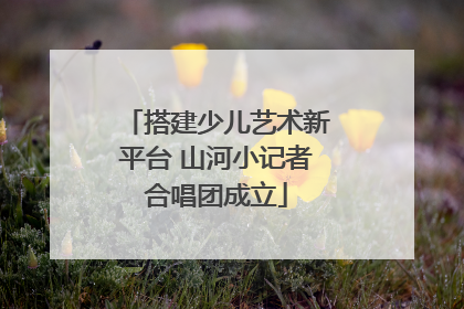 搭建少儿艺术新平台 山河小记者合唱团成立