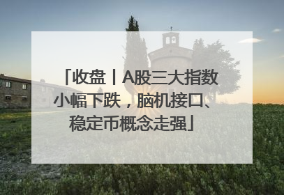 收盘丨A股三大指数小幅下跌，脑机接口、稳定币概念走强