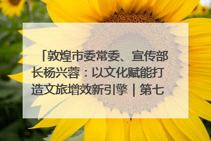 敦煌市委常委、宣传部长杨兴蓉：以文化赋能打造文旅增效新引擎｜第七届全国县域旅游研究成果发布系列活动