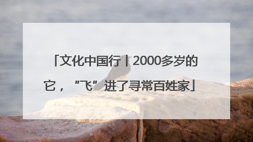 文化中国行丨2000多岁的它，“飞”进了寻常百姓家