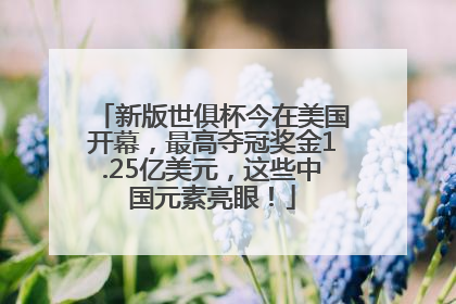 新版世俱杯今在美国开幕，最高夺冠奖金1.25亿美元，这些中国元素亮眼！