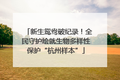新生鸳鸯破纪录！全民守护绘就生物多样性保护“杭州样本”