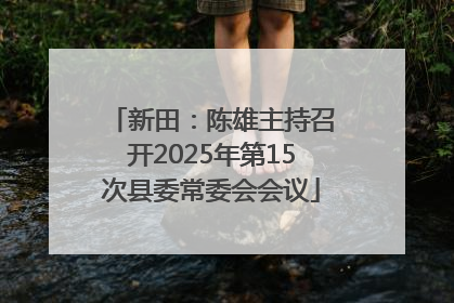 新田：陈雄主持召开2025年第15次县委常委会会议