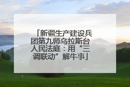 新疆生产建设兵团第九师乌拉斯台人民法庭：用“三调联动”解牛事