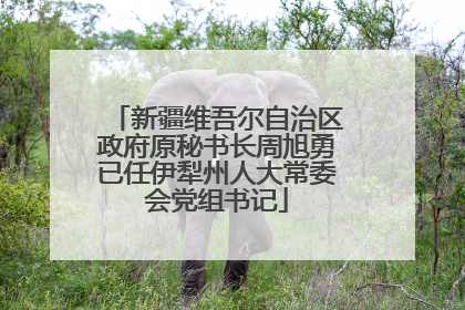 新疆维吾尔自治区政府原秘书长周旭勇已任伊犁州人大常委会党组书记