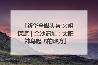 新华全媒头条·文明探源｜金沙遗址：太阳神鸟起飞的地方