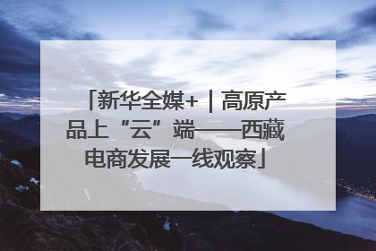 新华全媒+｜高原产品上“云”端——西藏电商发展一线观察