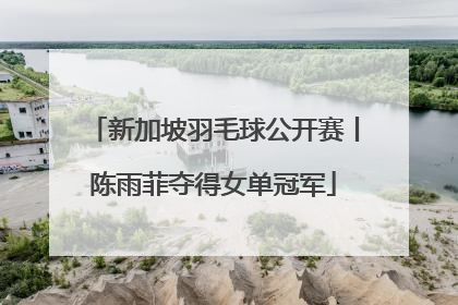 新加坡羽毛球公开赛丨陈雨菲夺得女单冠军