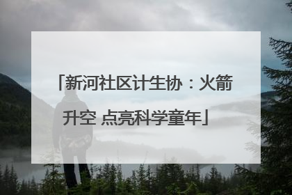 新河社区计生协：火箭升空 点亮科学童年